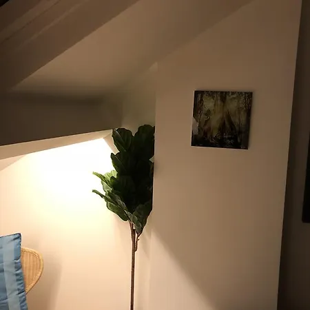 Feel@home6